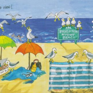 Gulls flying over the nudist beach, Brighton