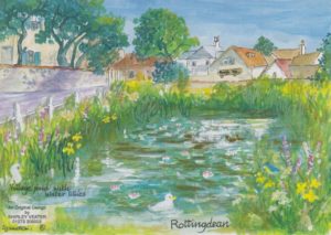 Rottingdean Pond with Waterlillies